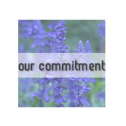 Our Commitment