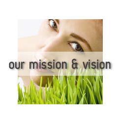 Our mission and vision